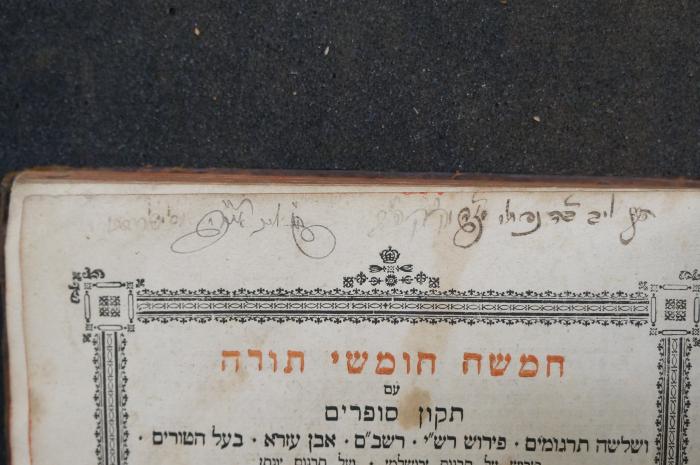 Asch7024 : חמשה חומשי תורה : עם תקון סופרים ושלושה תרגומים פירוש רש׳׳י רשב׳׳ם אבן עזרא בעל הטורים  (Wien);- (Ben Naftali Mosheh, Leiv), Von Hand: Name, Ortsangabe; 'ליב ב׳׳ה נפתלי [...] מק׳׳ק פ׳׳ש [...]'. ;- (Presburg, [...]us), Von Hand: Autogramm; 'אוס פרסבורג[...]'. 
