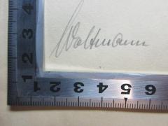 - (Woltmann, Kurt), Von Hand: Autogramm; 'Woltmann'. 