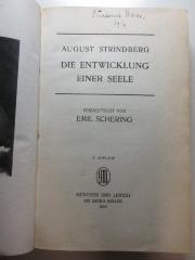 1 Q 17&lt;6&gt;-4,2 : Die Entwicklung einer Seele (1916)