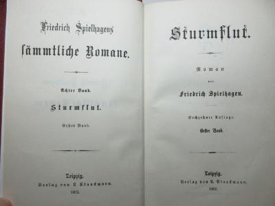 2 L 29&lt;16&gt;-8 : Sturmflut : Roman (1902)