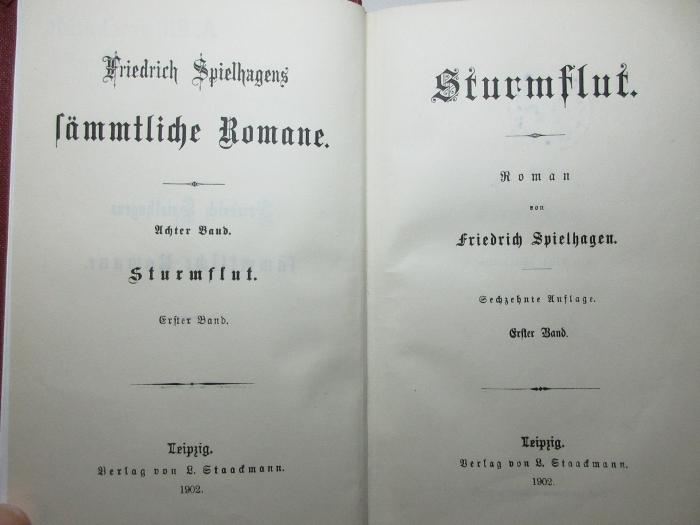 2 L 29&lt;16&gt;-8 : Sturmflut : Roman (1902)