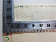 - (Rühlig, Aleida), Von Hand: Autogramm; 'A. Rühlig.'. 