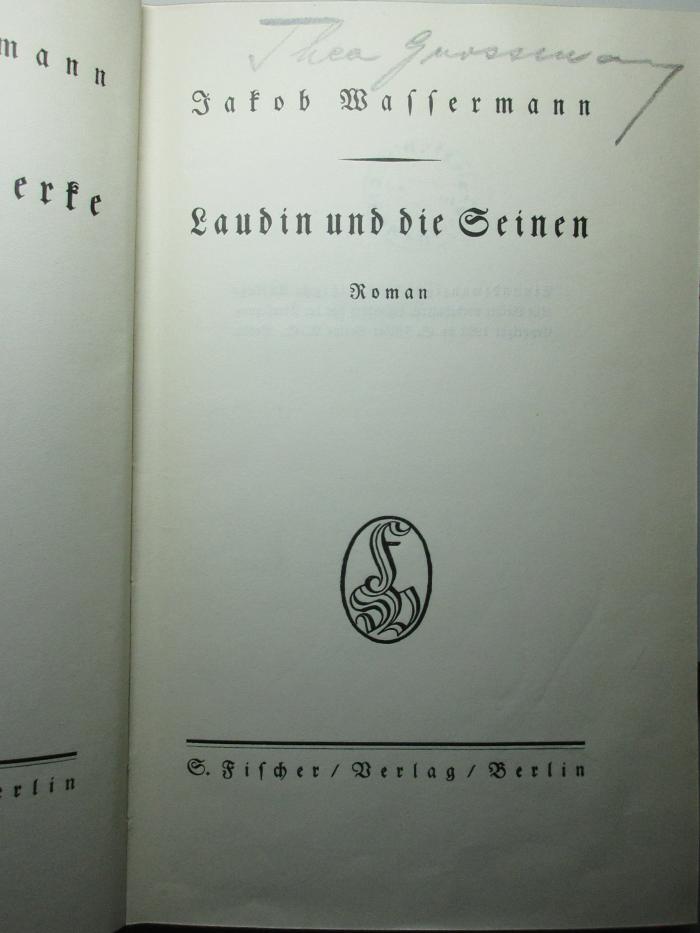 12 X 107&lt;21&gt; : Laudin und die Seinen : Roman (1925)