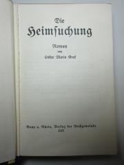 13 L 397 : Die Heimsuchung : Roman (1925)