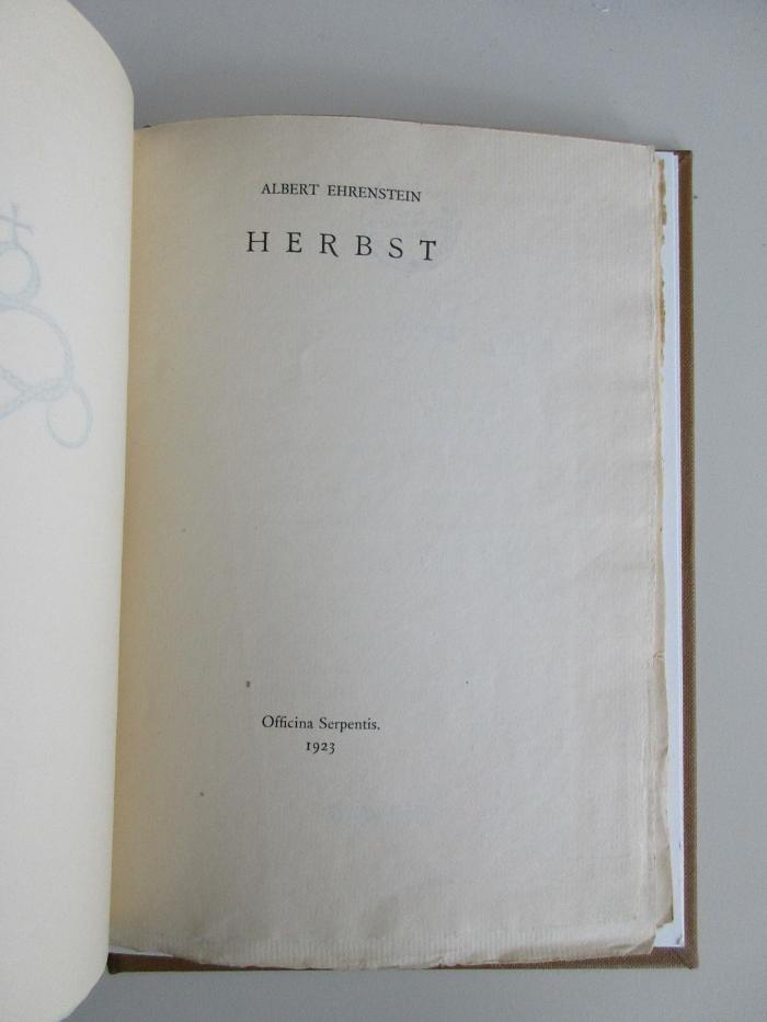 13 L 409 : Herbst (1923)
