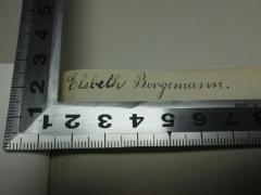 - (Bergemann, Elsbeth), Von Hand: Autogramm; 'Elsbeth Bergemann.'. 