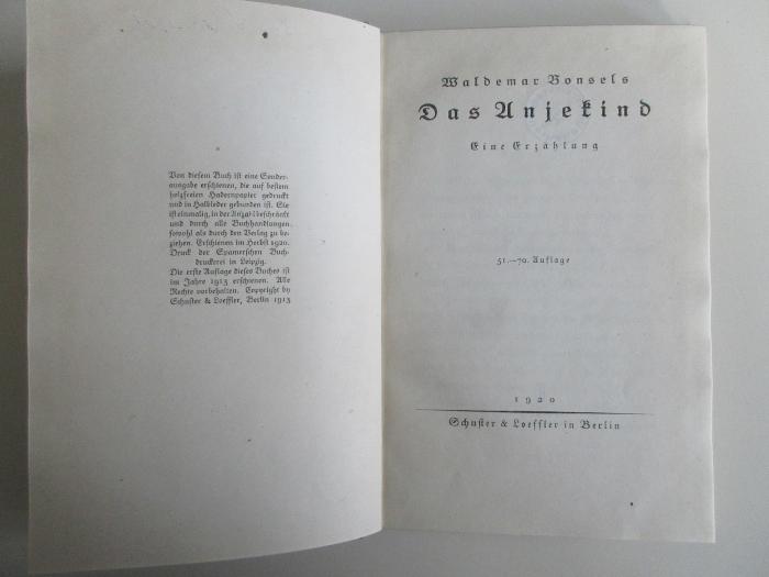 13 L 101&lt;51&gt; : Das Anjekind : eine Erzählung (1920)