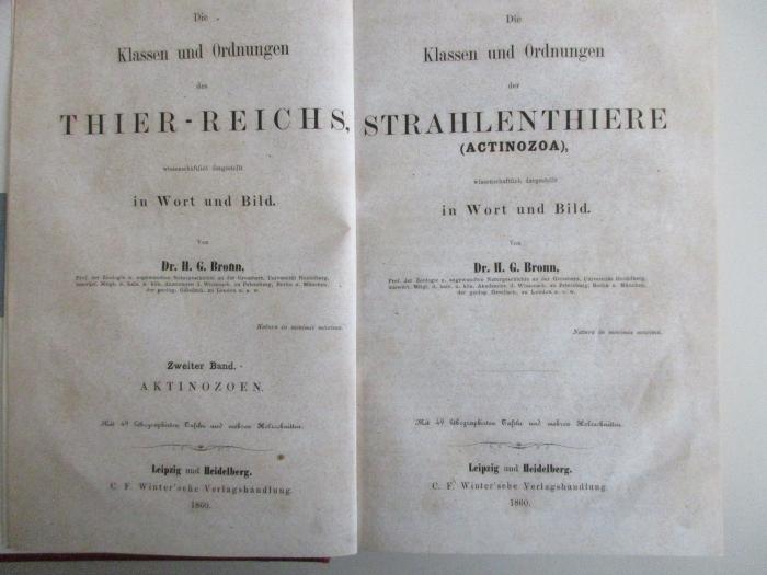 13 S 99-2 : Die Klassen und Ordnungen der Strahlenthiere (Actinozoa) (1860)