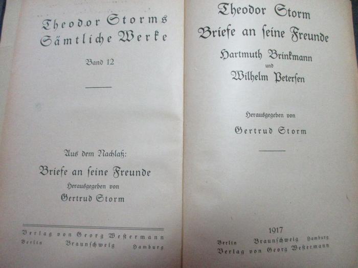 14 L 217-12 : Briefe an seine Freunde : Hartmuth Brinkmann und Wilhelm Petersen (1917)