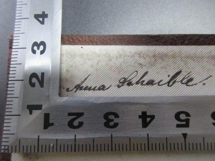 14 L 200 : Wanderbuch : 1825 - 1873 (1874);- (Schaible, Anna), Von Hand: Autogramm; 'Anna Schaible.'. 