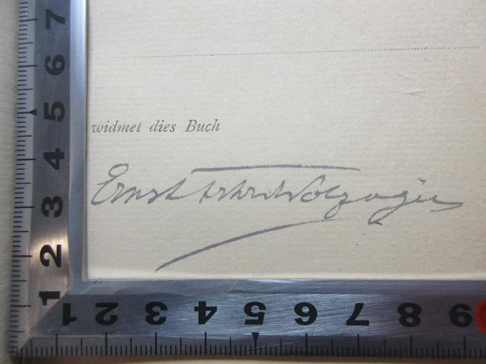 -, Von Hand: Autogramm; 'Ernst [?]';14 L 250 : Das dritte Geschlecht : Roman (1910)