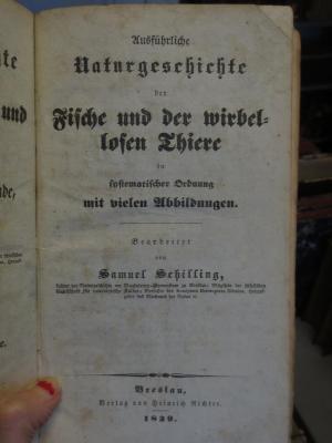 Kg 2517 : Ausführliche Naturgeschichte der Fische und der wirbellosen Thiere in systematischer Ordnung (1839)