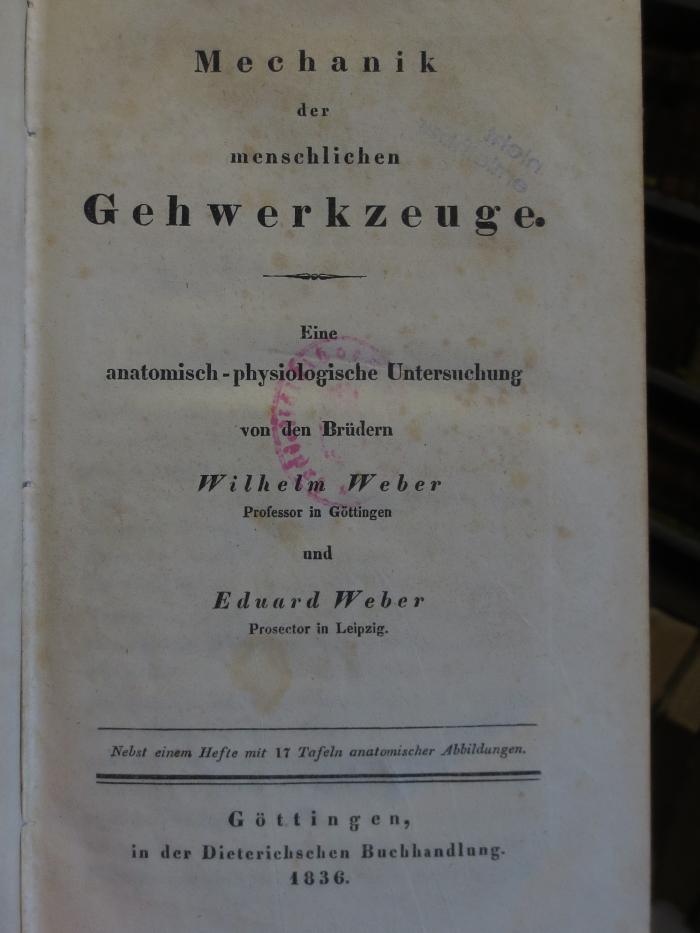 Ki 405 : Mechanik der menschlichen Gehwerkzeuge (1836)
