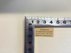 - (Max Wönner), Etikett: Buchhändler; 'Akademische Buchhandlung GmbH Antiquariat München, Veterinärstr. 1'. 