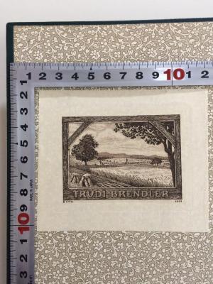 G4  ONC 1 : II. Lassalle (1912);- (Brendler, Trudi;Otto, Georg), Etikett: Name, Exlibris; 'Trudi Brendler
'. 