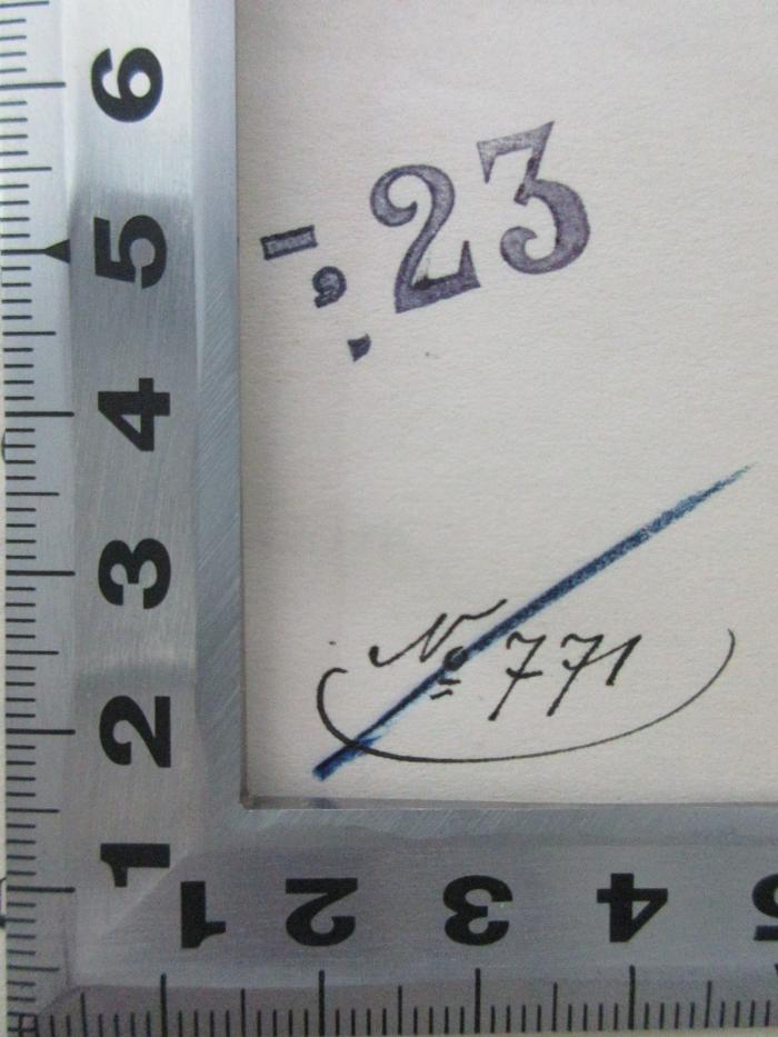 18 P 196 (ausgesondert) : Der Verstoßene (1923);- (Jüdische Schülerbibliothek Pilsen), Stempel: Exemplarnummer, Nummer; '-,23

'. 