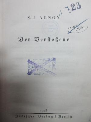 18 P 196 (ausgesondert) : Der Verstoßene (1923)