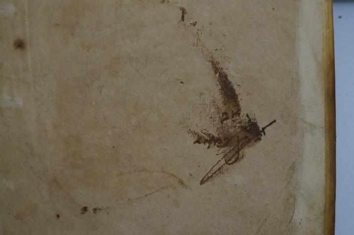 Asch7224 : פירוש על נביאים אחרונים (1641);- (Frish, Avraham Ben Tsion), Übermalt: Name; '[..]אב [...] פרור '. 