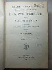 2 P 10&lt;13&gt; : Wilhelm Gesenius' Hebräisches und aramäisches Handwörterbuch über das Alte Testament (1899)