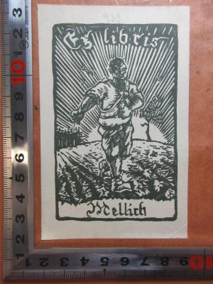 - (Mellich), Etikett: Exlibris, Name, Abbildung; 'Ex libris
Mellich'. ;16 D 569 : Der Kampf um den Besitz (1885)