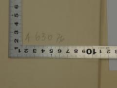- (Reichsstelle für Sippenforschung (Berlin)), Von Hand: Signatur, Inventar-/ Zugangsnummer, Exemplarnummer; 'A63076'. 