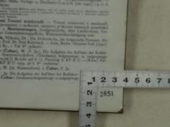 - (Reichsstelle für Sippenforschung (Berlin)), Stempel: Signatur, Inventar-/ Zugangsnummer; '2851'. 