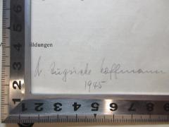 - (Hoffmann, Auguste), Von Hand: Berufsangabe/Titel/Branche, Autogramm, Datum; 'Dr. Auguste Hoffmann
1945'. 