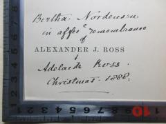 - (Nordensen, Bertha), Von Hand: Name, Autogramm, Datum, Widmung; 'Bertha Nordensen
in affee e remembrance
of
[Alexander J. Ross]
+
Adelaide Ross.
Christmas. 1888.'. 
