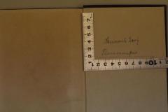 - (Levy, Heinrich), Von Hand: Autogramm, Ortsangabe, Name; 'Heinrich Levy
Flammersfeld'. 
