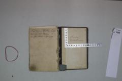 - (Wechselmann, Rosalia), Von Hand: Autogramm; 'Rosalia Wechselmann'. 