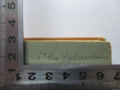 - (Pichmann, Käthe), Von Hand: Name; 'Käthe Pichmann'. ;9 X 250&lt;15,1&gt; : Die Sünde wider das Blut : ein Zeitroman (1921)