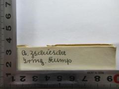 - (Zschiesche, A.;Kump, Irmg.), Von Hand: -; 'A. Zschiesche
Irmg. Kump'. 