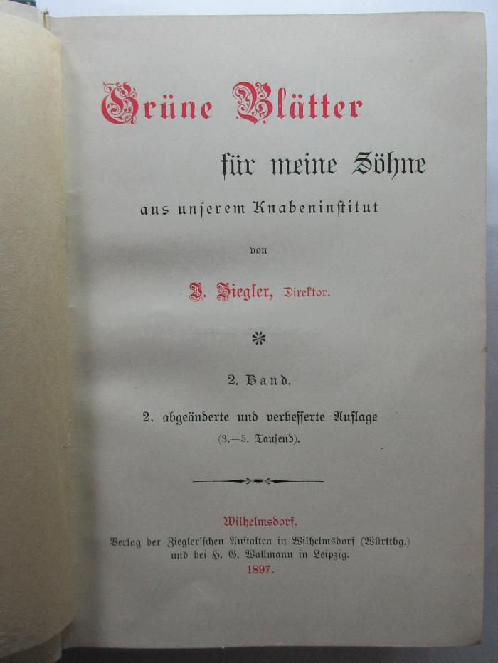 9 X 117&lt;2,2&gt; : Grüne Blätter für meine Söhne aus unserem Knabeninstitut (1897)