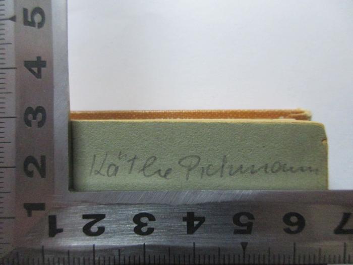 - (Pichmann, Käthe), Von Hand: Name; 'Käthe Pichmann'. ;9 X 250&lt;15,1&gt; : Die Sünde wider das Blut : ein Zeitroman (1921)