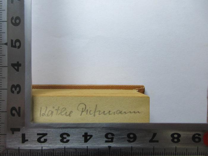- (Pichmann, Käthe), Von Hand: Name; 'Käthe Pichmann'. ;9 X 250&lt;3&gt; : Die Sünde wider die Liebe : ein Zeitroman (1922)