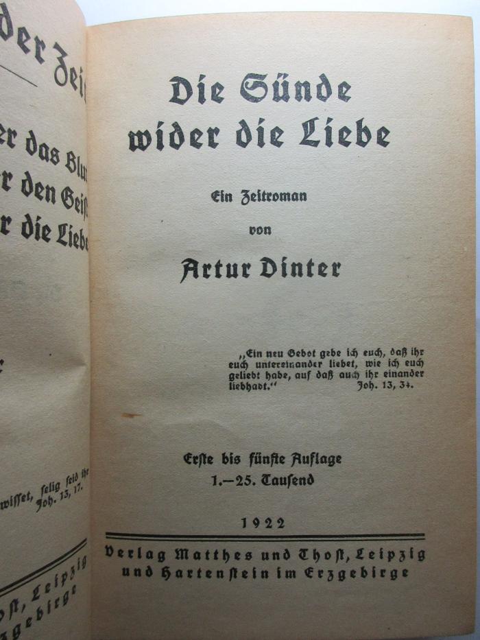 9 X 250&lt;3&gt; : Die Sünde wider die Liebe : ein Zeitroman (1922)