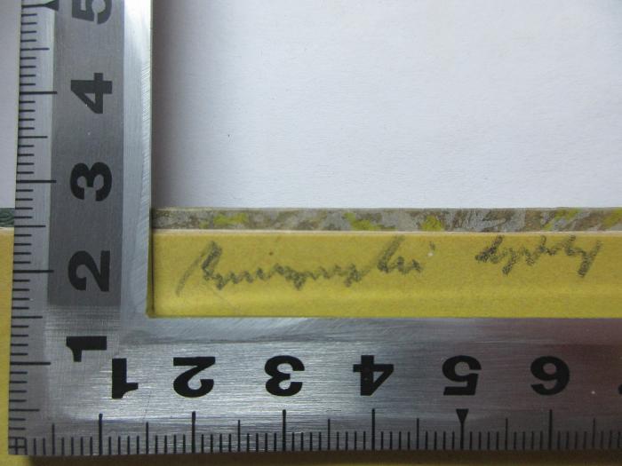 -, Von Hand: -; '[?]yti [?]p[?]';7 B 24 : Verzeichnis der in ... [Jerichow, Jüterburg, Dahme, Magdeburg, Neuhaldensleben, Wanzleben und Wolmirstedt] früher und noch heute bestehenden Klöster, Kapellen, Salande, fromme Brüderschaften und Hofspitäler sowie der geistlichen Schutzpatrone der Kirche der Kreise (1866-1872)