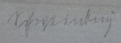 II 15550 2. Ex.: Die Völker Afrikas (1879);- (Schweinburg, Victor), Von Hand: Autogramm, Name; 'Schweinburg'. 
