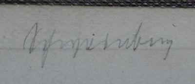 II 16675 3. Ex.: Aus West-Afrika 1873 - 1876 : Erlebnisse und Beobachtungen (1879);- (Schweinburg, Victor), Von Hand: Autogramm, Name; 'Schweinburg'. 