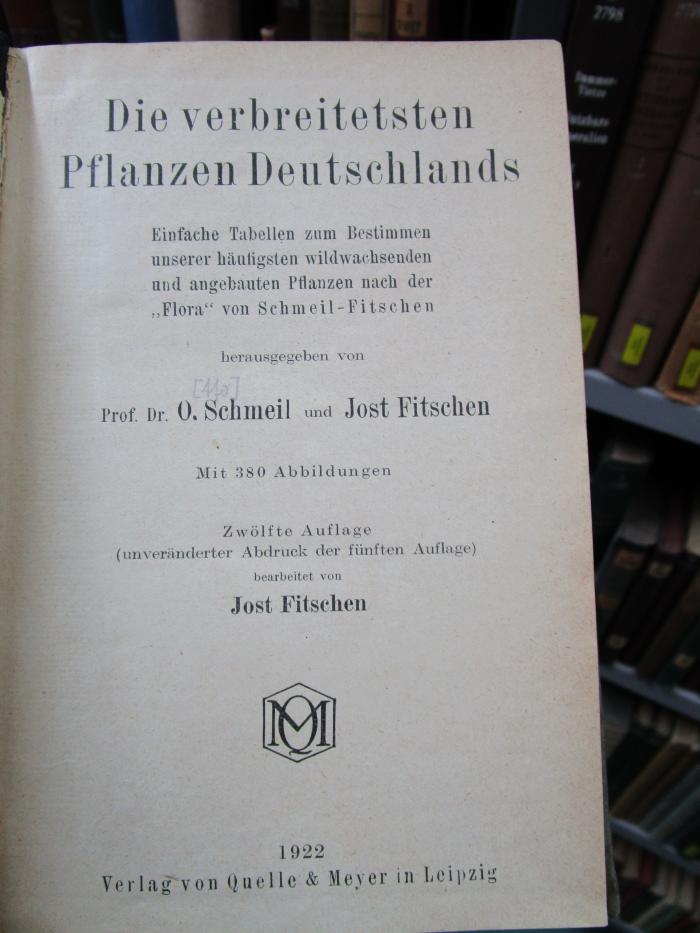 X 3258 ab: Die verbreitetsten Pflanzen Deutschlands (1922)
