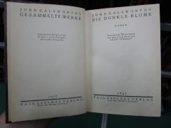 III 177180 3. Ex.: Die dunkle Blume : Roman (1927)