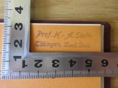 - (Stolte, Hans Adam), Stempel: Name, Ortsangabe; 'Prof. H. A. Stolte
Tübingen, Zool. Inst.'. 