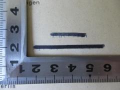 - (Eisentraut, M.), Stempel: Name; 'Bücherei Dr. M. Eisentraut [durchgestrichen]'. 