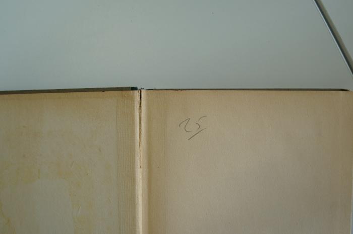 08 029306_b : Moses Ben Maimon : sein Leben, seine Werke und sein Einfluß; zur Erinnerung an den siebenhundertsten Todestag des Maimonides   (1914);- (unbekannt), Von Hand: Nummer; '25'. 