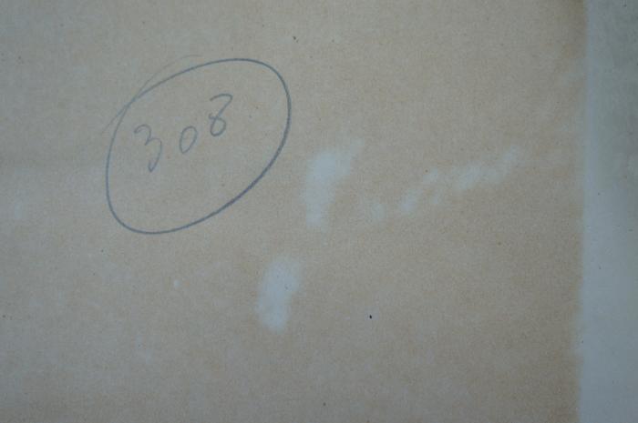94 042836 : Petri Hispani de lingua arabica libri duo (1883);- (Gymnasium zu Brandenburg), Von Hand: Signatur; '308'. 