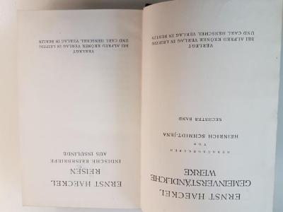 1 S 30 - 6 : Reisen: Indische Reisebriefe aus Insulinde (1924)