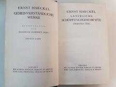 1 S 30 - 2 : Natürliche Schöpfungsgeschichte ; zweiter Teil (1924)