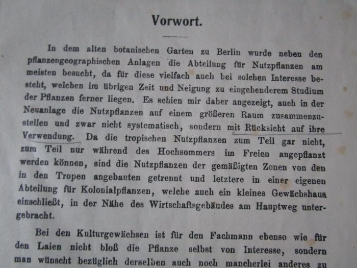 X 3113: Erläuterungen zu den Nutzpflanzen der gemäßigten Zonen im Königl. botanischen Garten zu Dahlem ([1904]);J / 164 (unbekannt), Von Hand: Annotation, Annotation. 