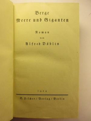 5 L 9 : Berge, Meere und Giganten (1924)