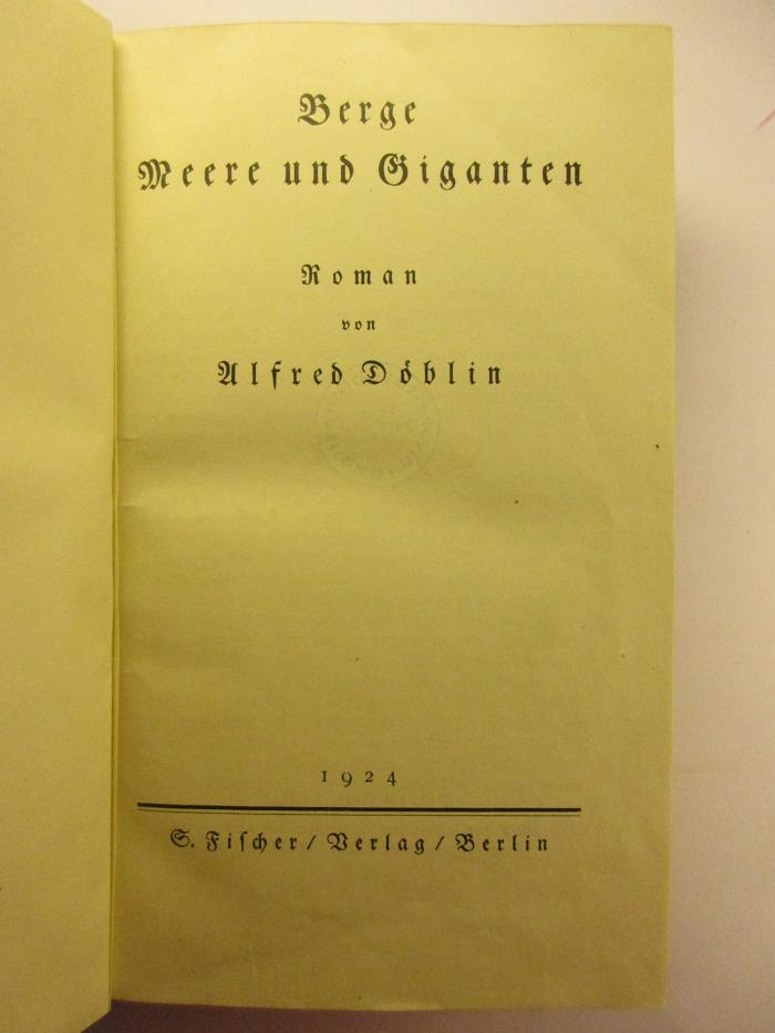 5 L 9 : Berge, Meere und Giganten (1924)